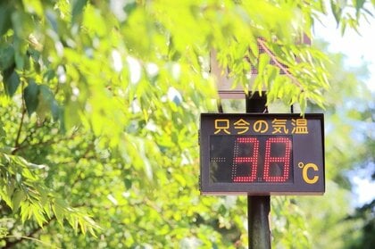 今年の「猛暑」、上場企業63社で「プラス効果」 「小売業」がトップ エアコン、アパレル、アイスなど季節商材で恩恵
