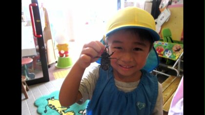 家具工場に「カブトムシくらぶ」？本格的に飼育…おがくず再利用で一石二鳥の取り組み【佐賀発】