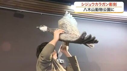 絶滅危惧種から復活へ　動物園にシジュウカラガンの彫刻寄贈　伊豆沼の原風景が製作のきっかけ〈仙台〉