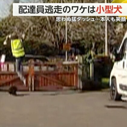 思わぬ“猛ダッシュ”　配達員が全力逃走のワケは…“小型犬”　高い門も飛び越えるあわてぶりに本人も笑顔　イギリス