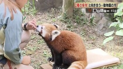 186種類いた動物が134種類に…“選択と集中”種を守るためあり方を模索する動物園【鹿児島発】