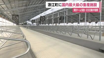 福島・浪江町に国内最大級の酪農施設が完成　2000頭以上の牛を飼育　ロボットで搾乳・出荷へ