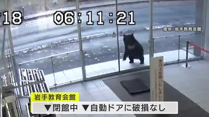 クマが岩手教育会館の自動ドアに体当たり　盛岡市市街地で出没相次ぐ　岩手県