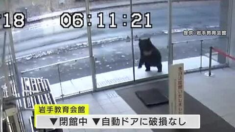 クマが岩手教育会館の自動ドアに体当たり　盛岡市市街地で出没相次ぐ　岩手県