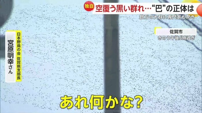 上空を飛ぶ黒い何かを見つけた宮原さん