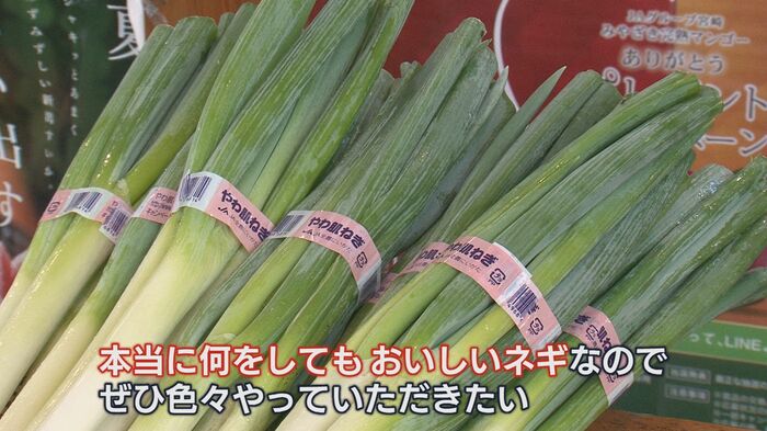 様々な料理に使える