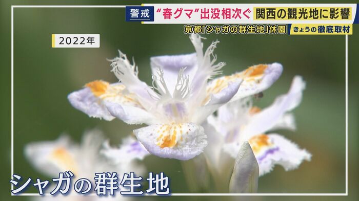 水源の里老富