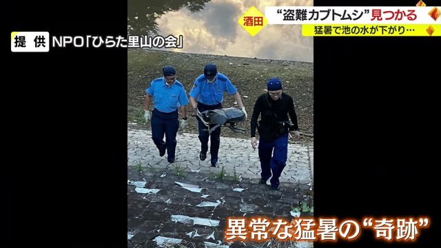発見時の様子