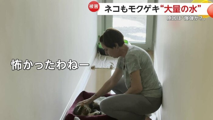 猫をなぐさめる住人(IHA)