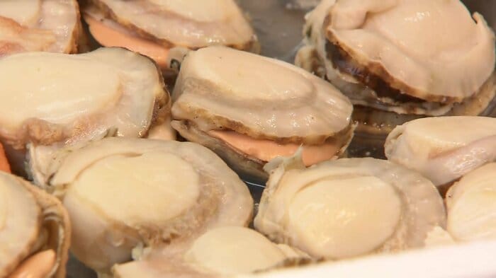 ホタテは税率はそのまま15％が維持される計算に