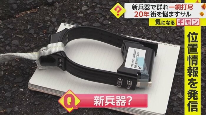 位置情報を発信する新兵器