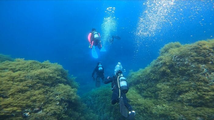越前ブルーとも呼ばれるダイバーを魅了する海