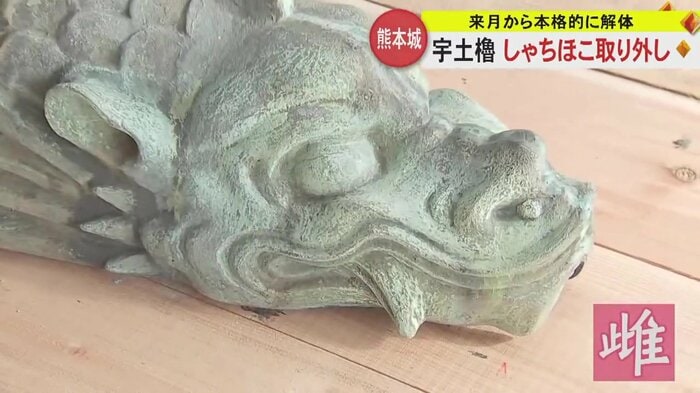 口を閉じている北側の“雌”