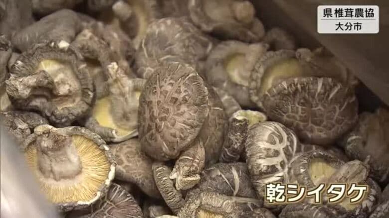 日本一の生産量誇る　県産乾しいたけの入札会　最高値は1キロ2万円に　大分｜FNNプライムオンライン