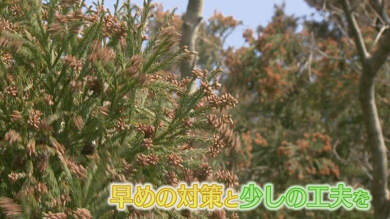 ぽかぽか陽気で一気にムズムズ…今季の飛散量は平年の約1.5倍に！家庭でもできる花粉対策「空気のプロ」が伝授｜FNNプライムオンライン