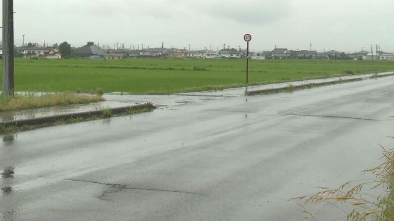 90歳男性が車にはねられ死亡　道路を歩いて横断中…運転の49歳の男を過失運転致傷の疑いで逮捕　現場は信号機も横断歩道もない交差点｜FNNプライムオンライン