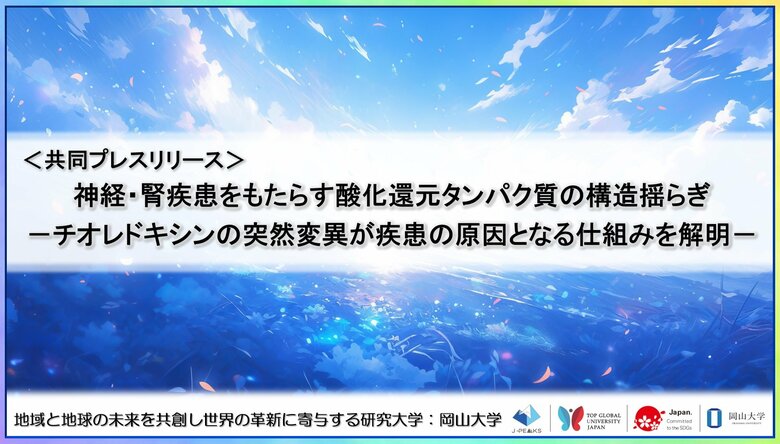 神経・腎疾患をもたらす酸化還元タンパク質の構造揺らぎ-チオレドキシンの突然変異が疾患の原因となる仕組みを解明-〔理化学研究所, 岡山大学, 日本原子力研究開発機構, 総合科学研究機構〕