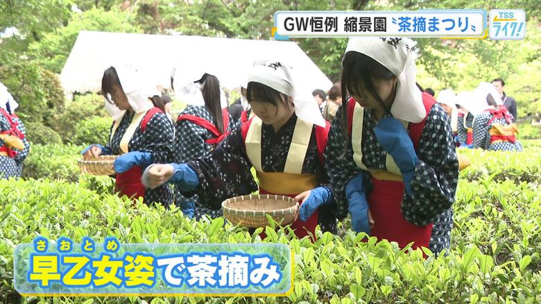 夏も近づく八十八夜　縮景園で「茶摘まつり」　茶道部の中高生が早乙女姿で　広島　｜FNNプライムオンライン