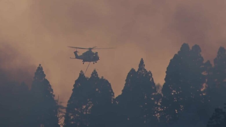 【危険】「ごみ焼きの火が燃え移った」山林火災で233世帯546人に避難指示…住宅への延焼の恐れも　岩手｜FNNプライムオンライン