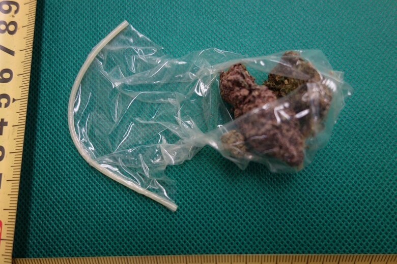 大麻をコンドームに包みバッグに入れて密輸か　「捨て忘れた」と容疑否認　タイから航空機で持ち込み福岡空港で発見　29歳無職男を逮捕｜FNNプライムオンライン