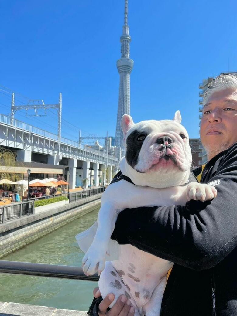 提供：こぶしさん