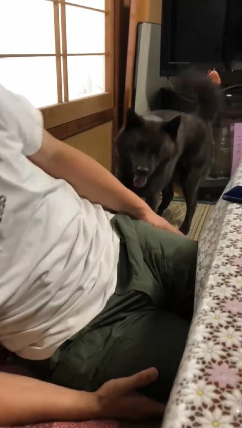 ななちゃんはキレイに着地