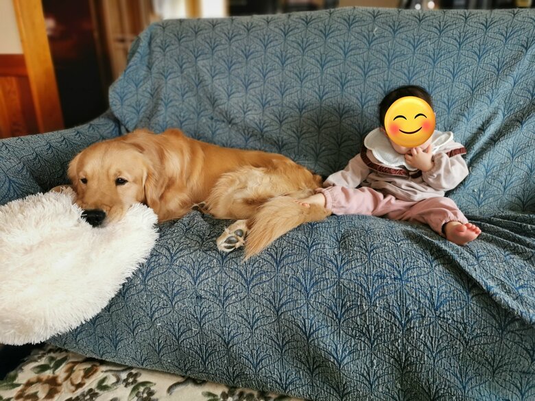 いつもは仲良し（提供：ふぉるてさん）