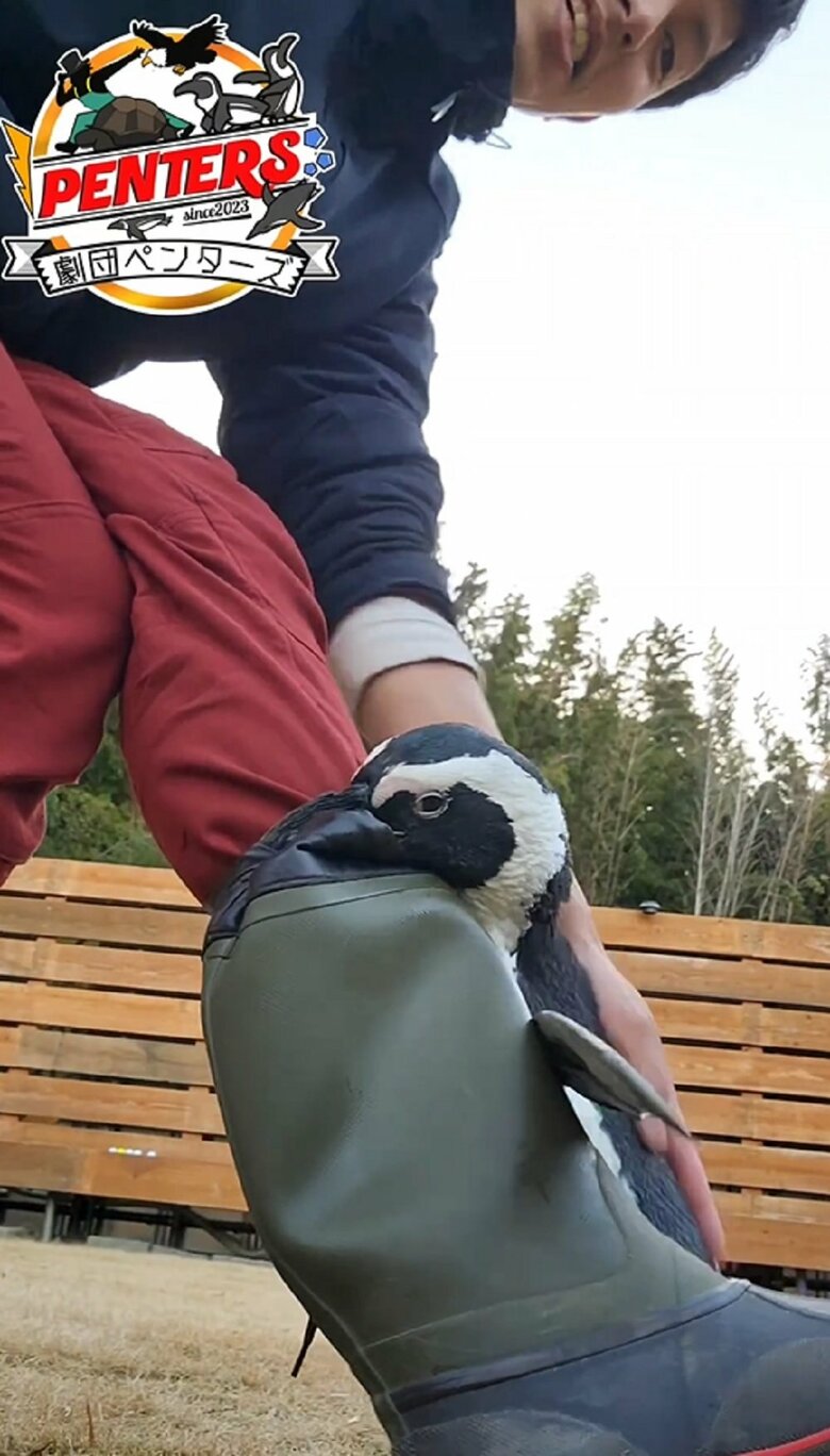 翼を動かしてバシバシ叩いている