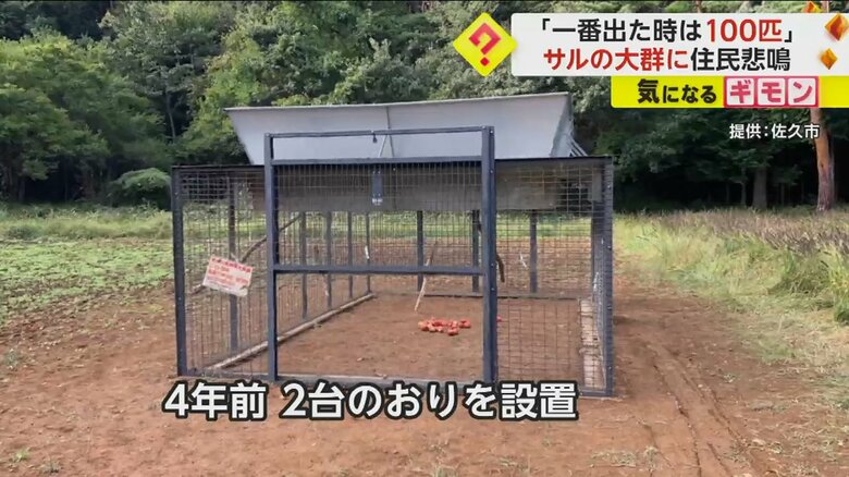 長野・佐久市がサル捕獲のために設置したおり