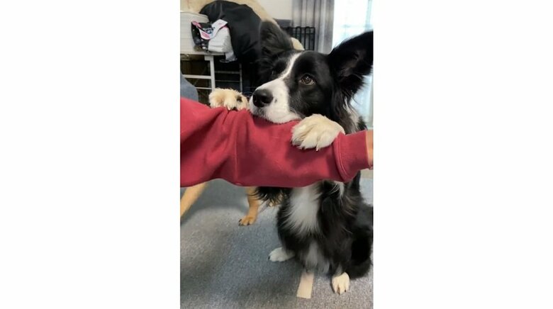 スタンバイしているこゆきちゃん