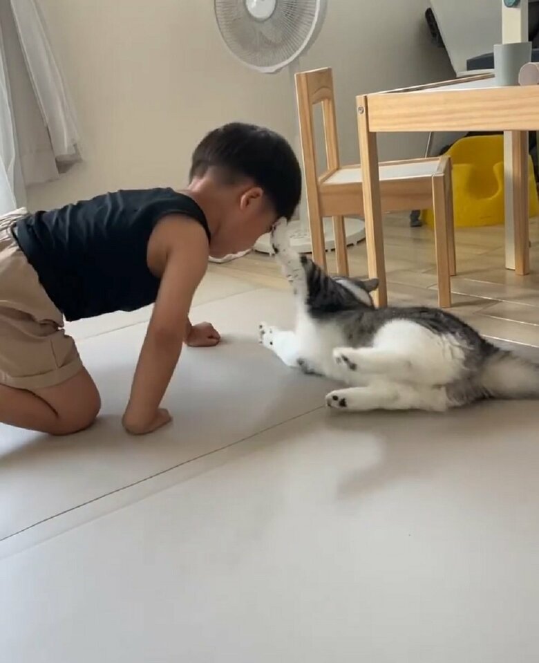 ムチくんが顔を近づけたらパンチ！