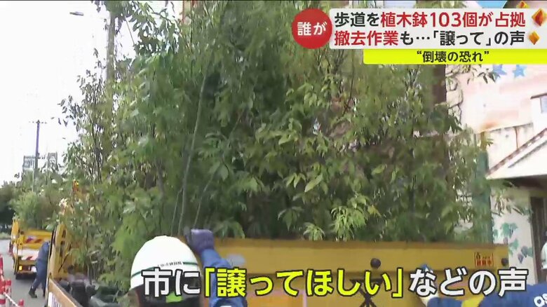 鉢植えを譲って欲しいという声も