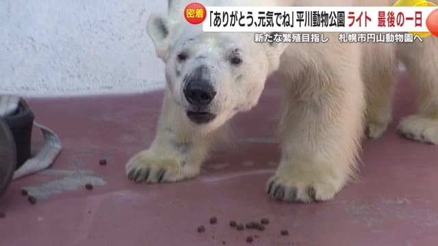 「あれ？いつもより人が多いかも？」