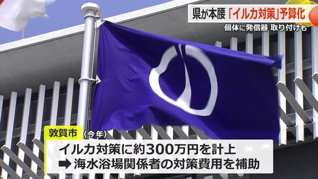 敦賀市も対策費を予算に計上