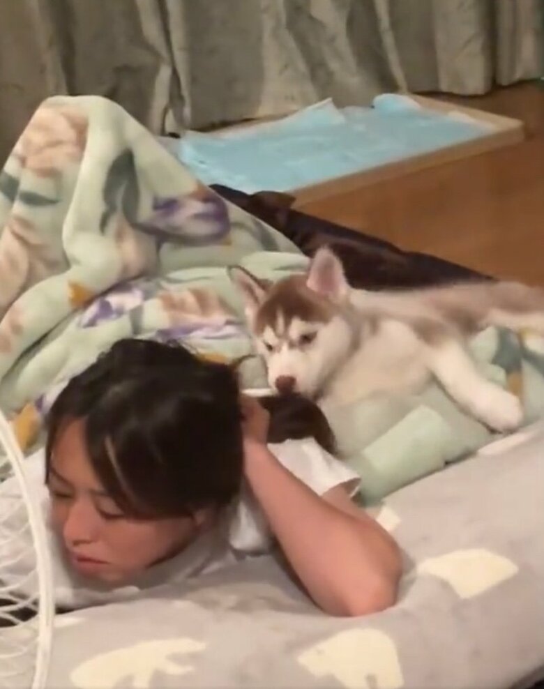 提供：ココとイチのままちゃん