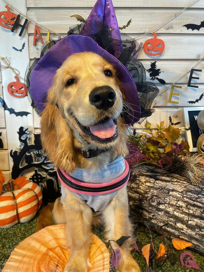 提供：関口和也さん