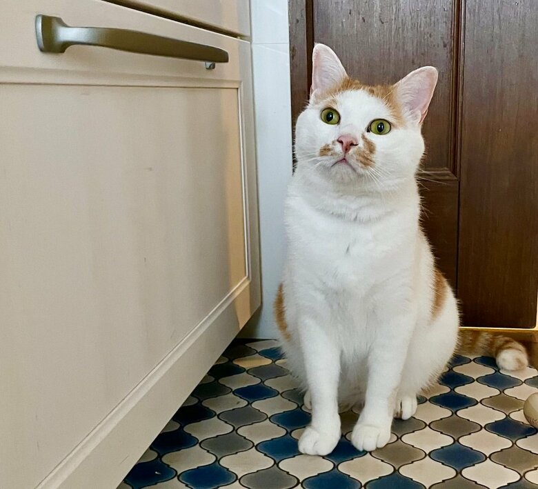 何して遊ぶ？とお誘い中