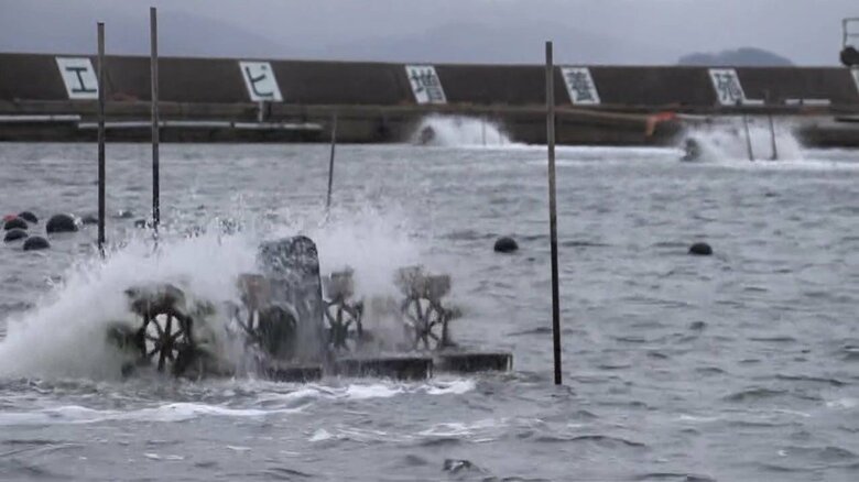 毎日3割ほどを外の海水と循環させているが…