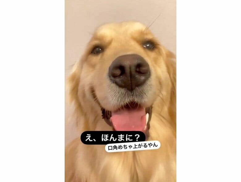 提供：エマさん