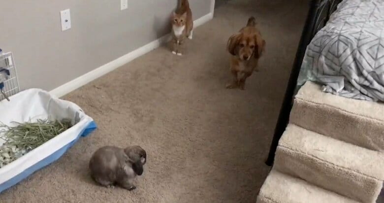 違う日にも入室管理（提供：和泉ユタカさん）