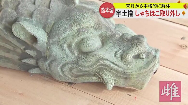 口を閉じている北側の“雌”