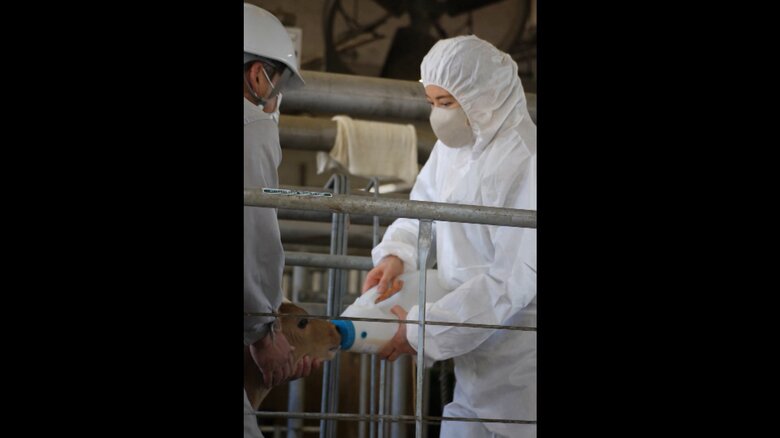 御料牧場に滞在されている際のご一家の写真が公開された（宮内庁提供）