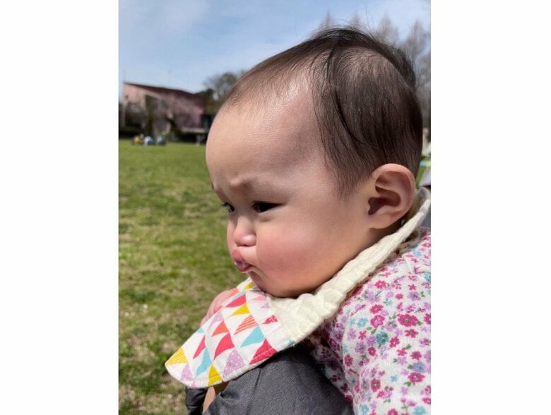 提供：ののさん