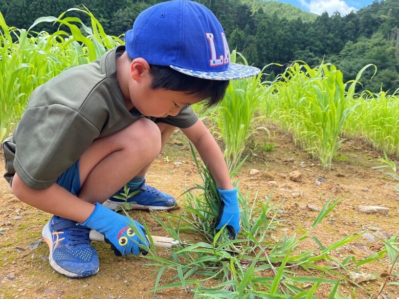 土壌改良中の農地。来春にはブドウの苗木を植える予定。