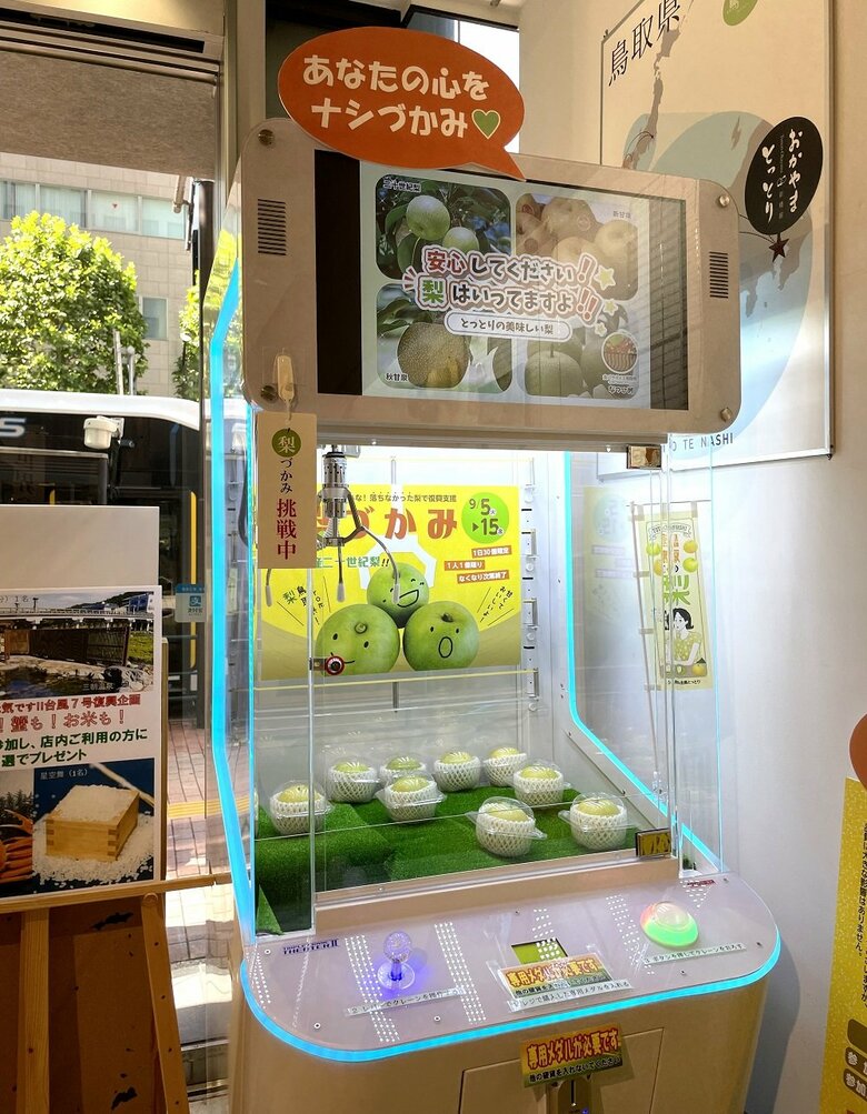 二十世紀梨が景品のクレーンゲーム（画像提供：鳥取県）