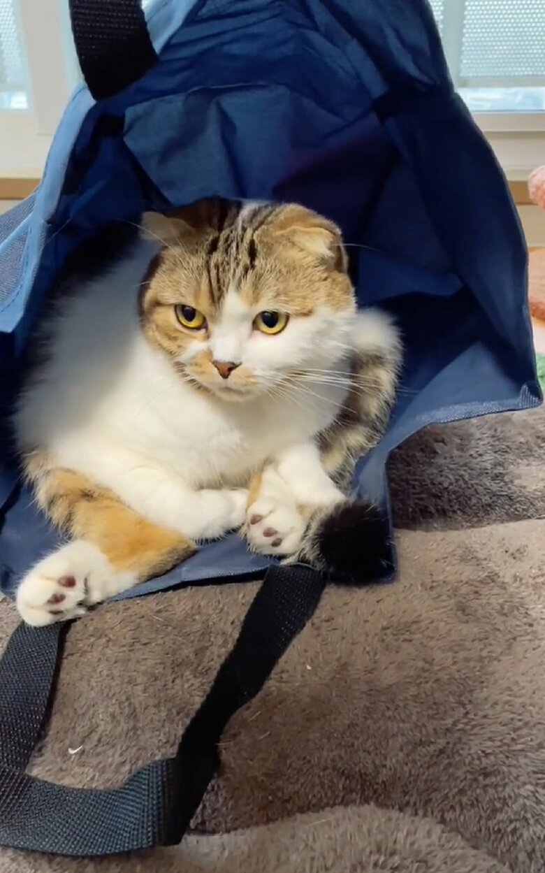 袋の中