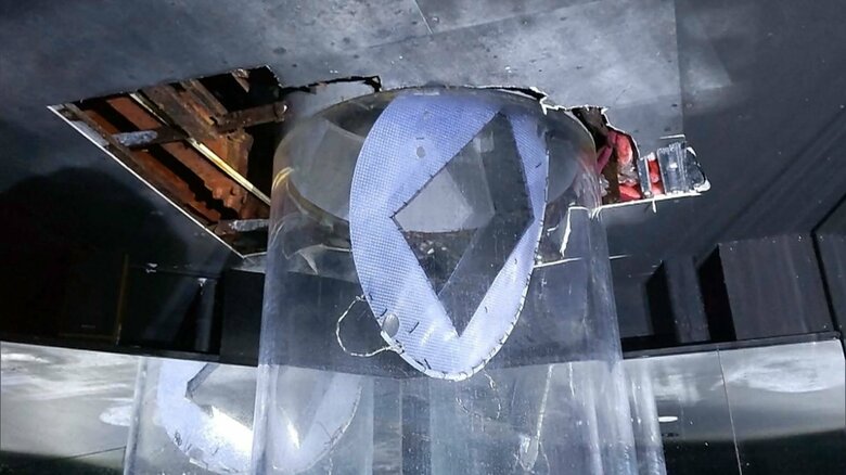 クラゲの水槽（提供：のとじま水族館）