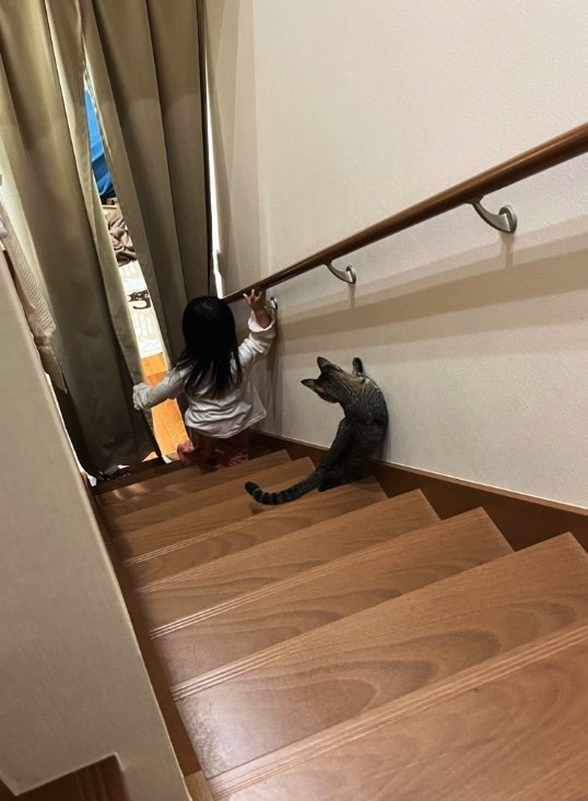 提供：すずつむふうさん