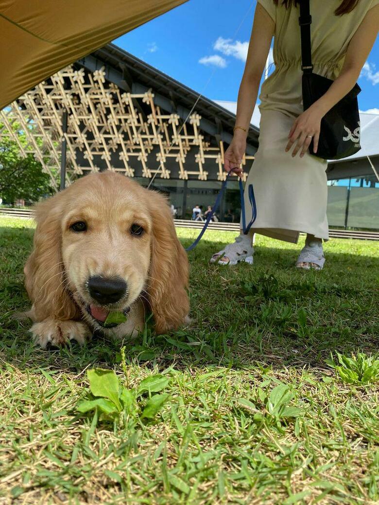 提供：関口和也さん