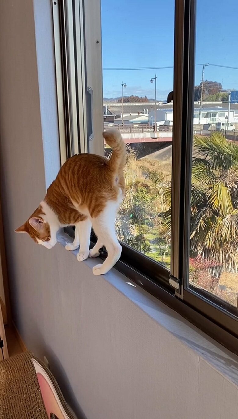 別日に撮影　狭い場所で体勢を整えて…